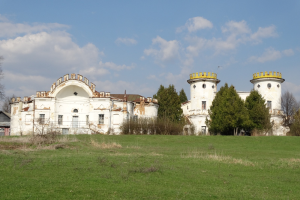 Дворец в Вишенках